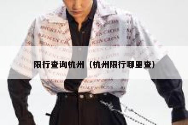 限行查询杭州（杭州限行哪里查） 第1张