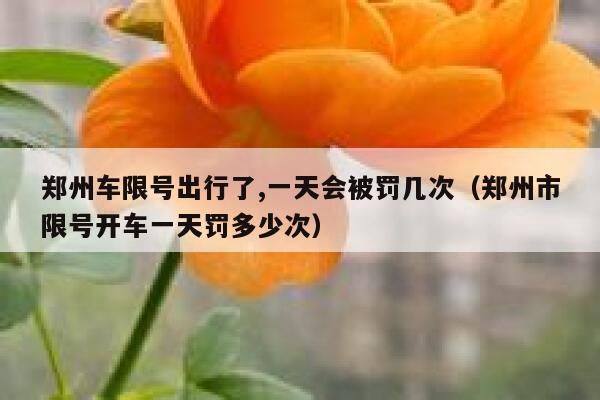郑州车限号出行了,一天会被罚几次（郑州市限号开车一天罚多少次） 第1张