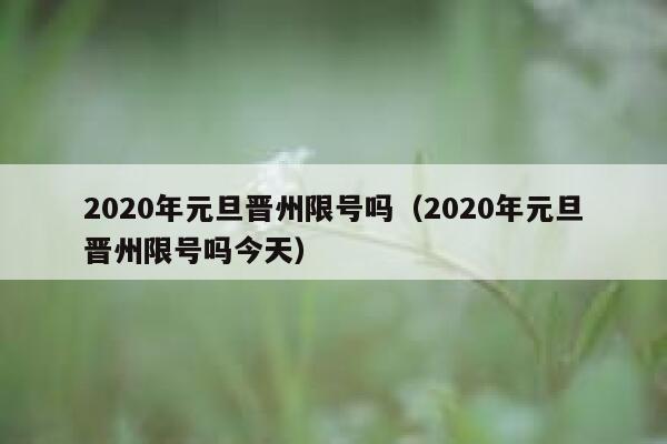 2020年元旦晋州限号吗（2020年元旦晋州限号吗今天） 第1张