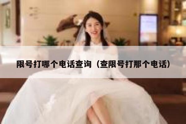 限号打哪个电话查询（查限号打那个电话） 第1张