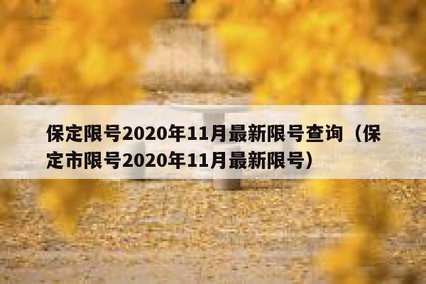 保定限号2020年11月最新限号查询（保定市限号2020年11月最新限号） 第1张