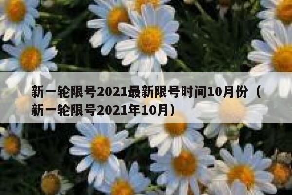 新一轮限号2021最新限号时间10月份（新一轮限号2021年10月） 第1张