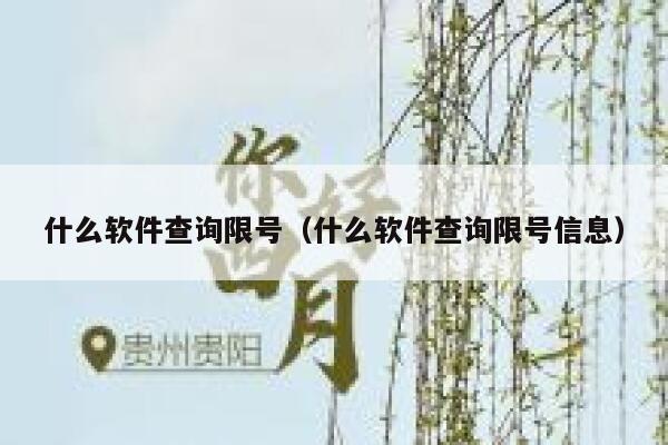 什么软件查询限号（什么软件查询限号信息） 第1张