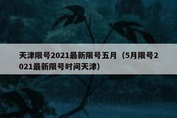 天津限号2021最新限号五月（5月限号2021最新限号时间天津） 第1张