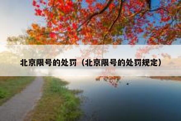北京限号的处罚（北京限号的处罚规定） 第1张