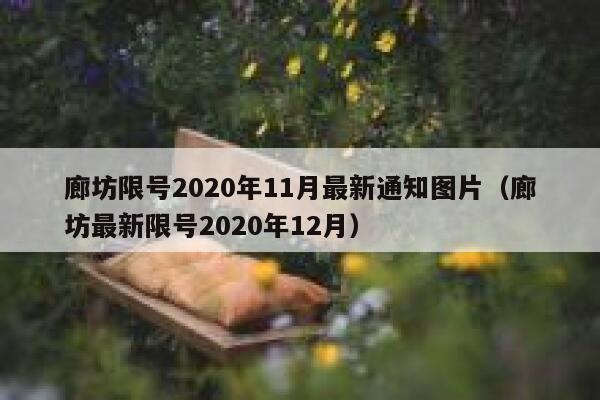 廊坊限号2020年11月最新通知图片（廊坊最新限号2020年12月） 第1张