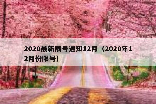 2020最新限号通知12月（2020年12月份限号） 第1张