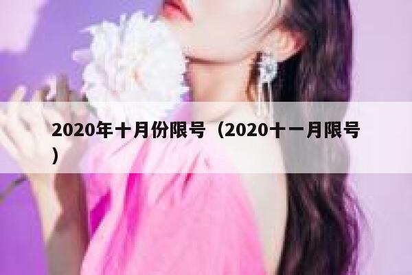 2020年十月份限号（2020十一月限号） 第1张