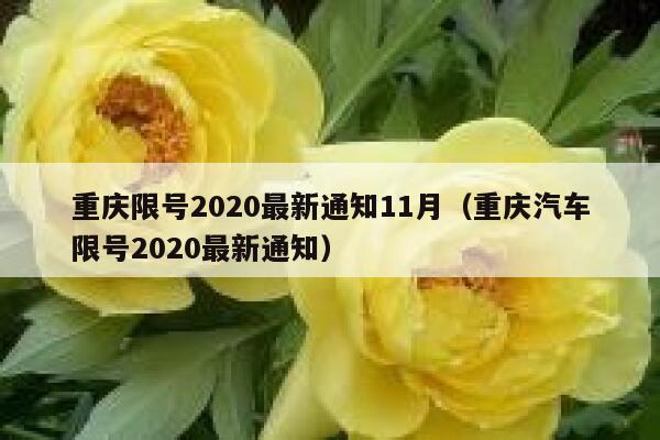 重庆限号2020最新通知11月(重庆汽车限号2020最新通知) 第1张 重庆限号2020最新通知11月(重庆汽车限号2020最新通知) 第1张