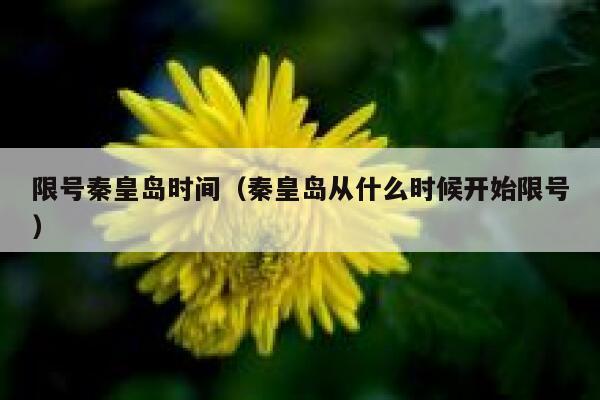 限号秦皇岛时间（秦皇岛从什么时候开始限号） 第1张