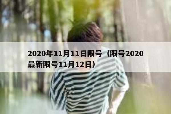 2020年11月11日限号（限号2020最新限号11月12日） 第1张