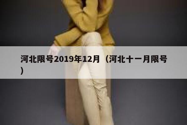 河北限号2019年12月（河北十一月限号） 第1张