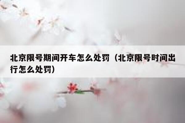 北京限号期间开车怎么处罚（北京限号时间出行怎么处罚） 第1张