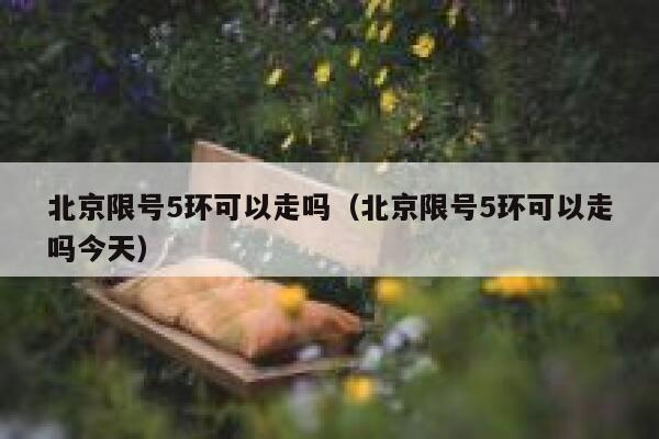 北京限号5环可以走吗(北京限号5环可以走吗今天) 第1张 北京限号5环可以走吗(北京限号5环可以走吗今天) 第1张