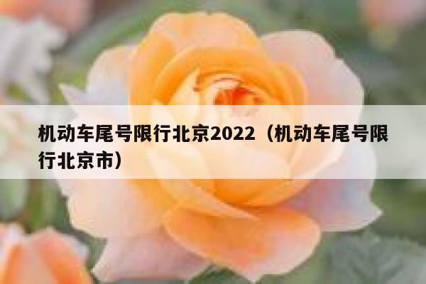机动车尾号限行北京2022（机动车尾号限行北京市） 第1张