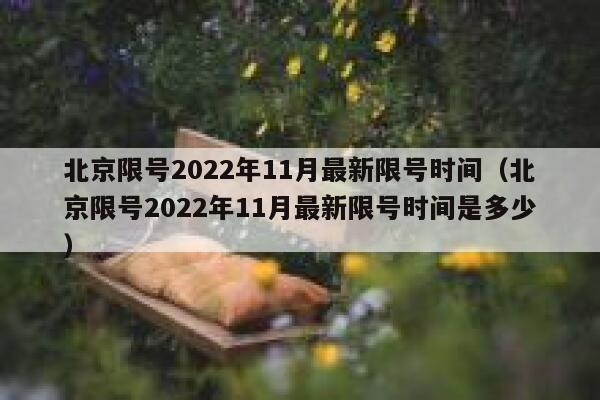 北京限号2022年11月最新限号时间（北京限号2022年11月最新限号时间是多少） 第1张