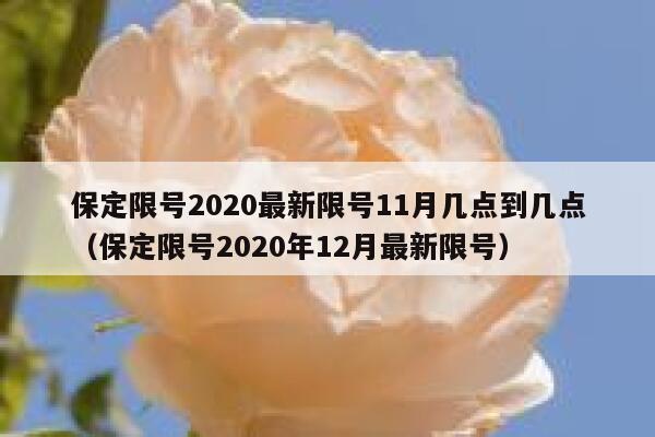 保定限号2020最新限号11月几点到几点（保定限号2020年12月最新限号） 第1张