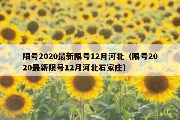 限号2020最新限号12月河北（限号2020最新限号12月河北石家庄） 第1张