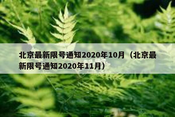 北京最新限号通知2020年10月（北京最新限号通知2020年11月） 第1张