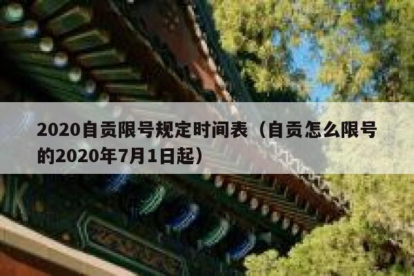 2020自贡限号规定时间表（自贡怎么限号的2020年7月1日起） 第1张