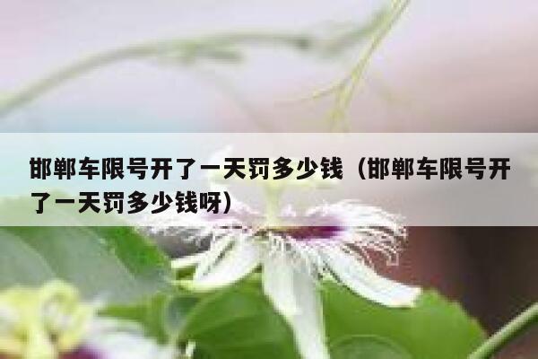 邯郸车限号开了一天罚多少钱（邯郸车限号开了一天罚多少钱呀） 第1张