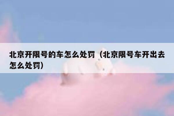 北京开限号的车怎么处罚（北京限号车开出去怎么处罚） 第1张