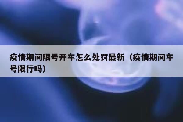疫情期间限号开车怎么处罚最新（疫情期间车号限行吗） 第1张