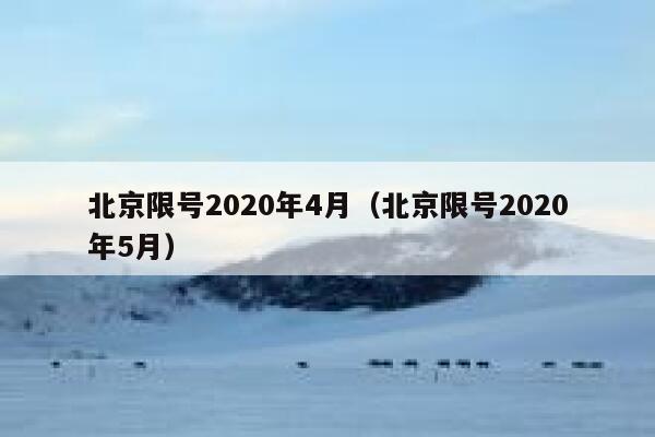 北京限号2020年4月（北京限号2020年5月） 第1张