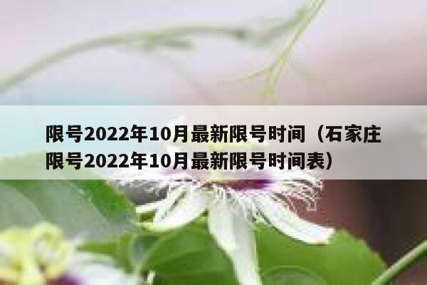 限号2022年10月最新限号时间（石家庄限号2022年10月最新限号时间表） 第1张