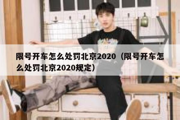 限号开车怎么处罚北京2020（限号开车怎么处罚北京2020规定） 第1张