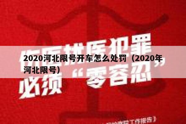 2020河北限号开车怎么处罚（2020年河北限号） 第1张
