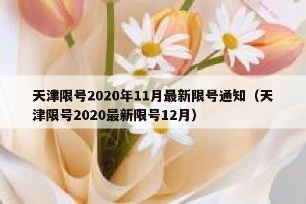 天津限号2020年11月最新限号通知（天津限号2020最新限号12月） 第1张