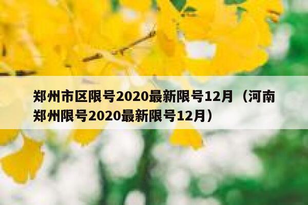 郑州市区限号2020最新限号12月（河南郑州限号2020最新限号12月） 第1张
