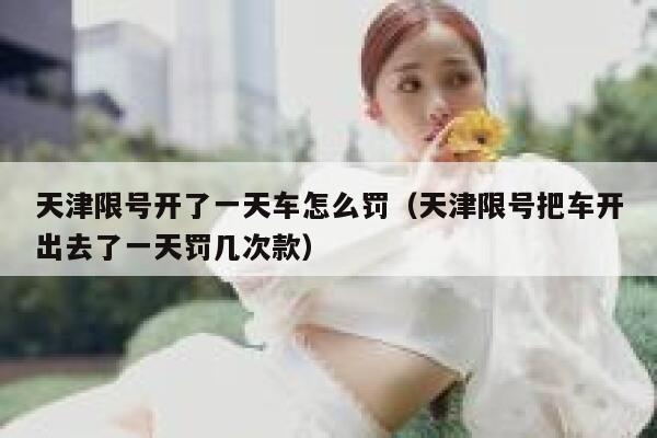 天津限号开了一天车怎么罚（天津限号把车开出去了一天罚几次款） 第1张