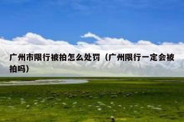 广州市限行被拍怎么处罚（广州限行一定会被拍吗） 第1张