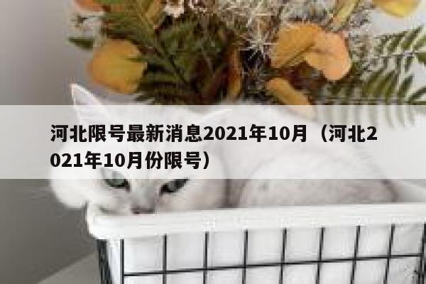 河北限号最新消息2021年10月（河北2021年10月份限号） 第1张