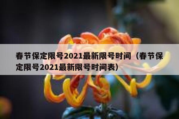 春节保定限号2021最新限号时间（春节保定限号2021最新限号时间表） 第1张