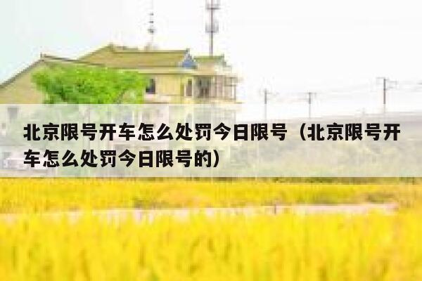 北京限号开车怎么处罚今日限号（北京限号开车怎么处罚今日限号的） 第1张