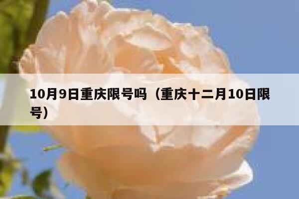 10月9日重庆限号吗（重庆十二月10日限号） 第1张