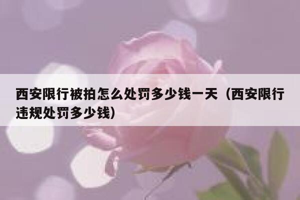 西安限行被拍怎么处罚多少钱一天（西安限行违规处罚多少钱） 第1张