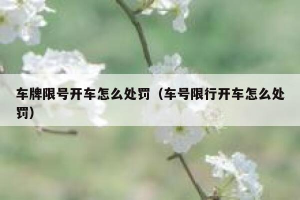 车牌限号开车怎么处罚（车号限行开车怎么处罚） 第1张