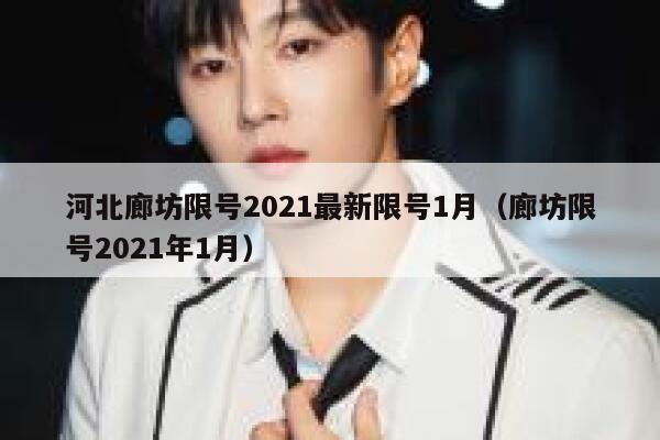 河北廊坊限号2021最新限号1月（廊坊限号2021年1月） 第1张