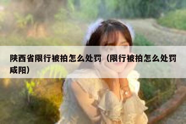 陕西省限行被拍怎么处罚（限行被拍怎么处罚咸阳） 第1张