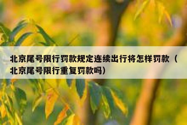 北京尾号限行罚款规定连续出行将怎样罚款（北京尾号限行重复罚款吗） 第1张