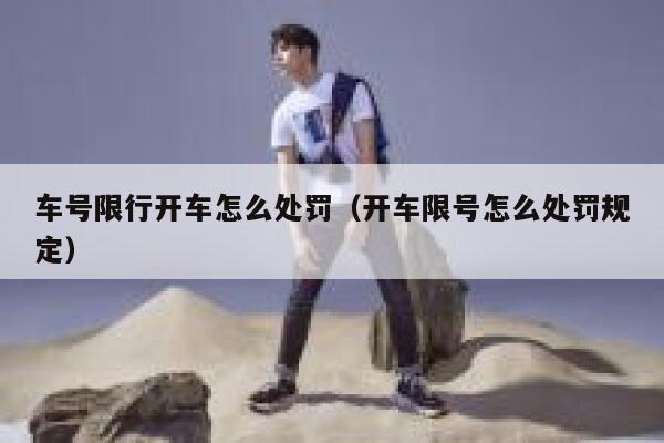 车号限行开车怎么处罚(开车限号怎么处罚规定) 第1张 车号限行开车怎么处罚(开车限号怎么处罚规定) 第1张