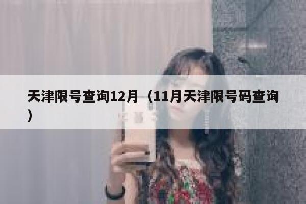 天津限号查询12月（11月天津限号码查询） 第1张