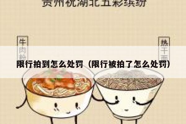 限行拍到怎么处罚（限行被拍了怎么处罚） 第1张