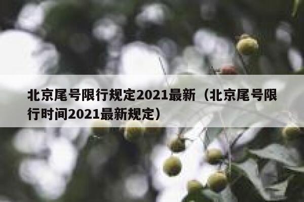 北京尾号限行规定2021最新（北京尾号限行时间2021最新规定） 第1张