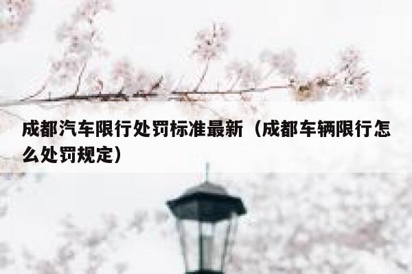 成都汽车限行处罚标准最新（成都车辆限行怎么处罚规定） 第1张