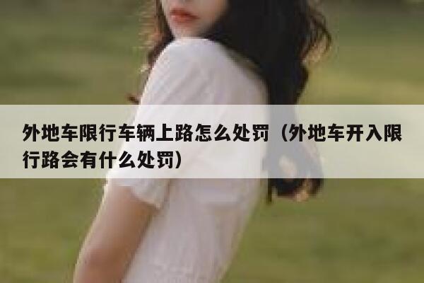 外地车限行车辆上路怎么处罚（外地车开入限行路会有什么处罚） 第1张